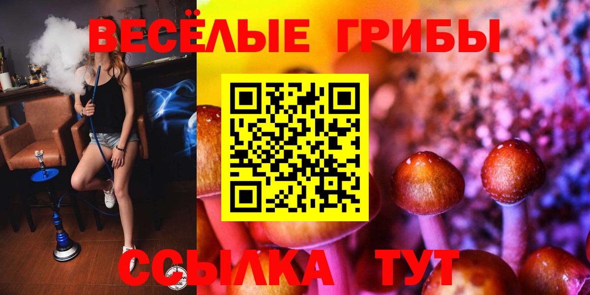 Петропавловск-Камчатский  Галлюциногенные грибы Psilocybe  Вход с VPN  Галлюциногенные грибы Psilocybe 