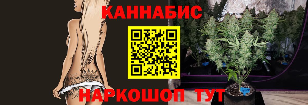 Марихуана White Widow  Конопля сатива  Петропавловск-Камчатский  МАРИХУАНА THC 21%  Бошки марихуана план  Вход с VPN 